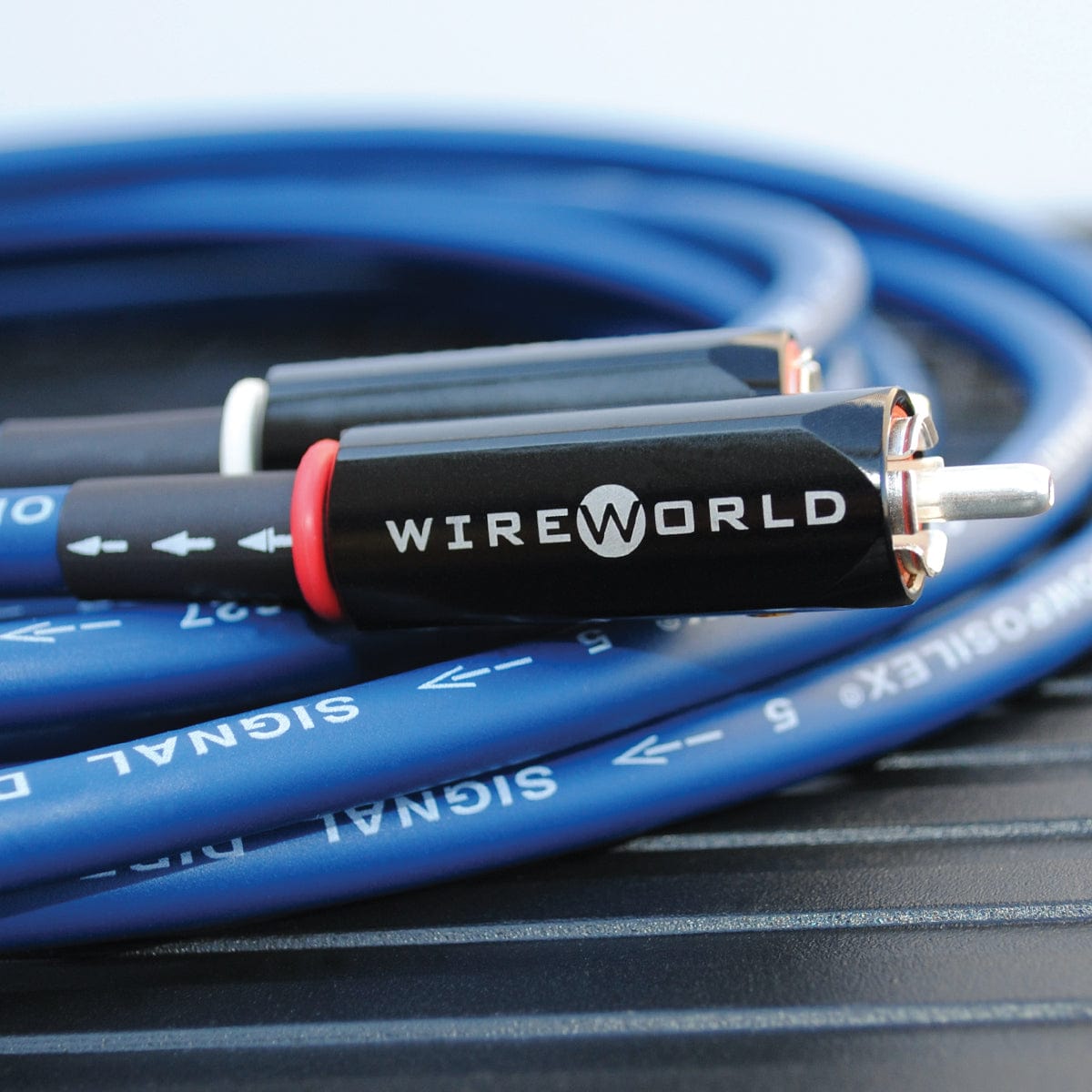 Oasis® 10 Audio Interconnect Cable
