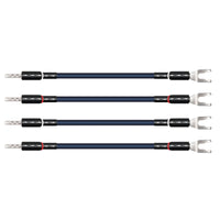 Oasis® 10 Biwire Jumpers