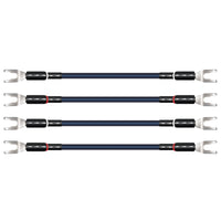 Oasis® 10 Biwire Jumpers