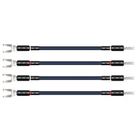 Oasis® 10 Biwire Jumpers