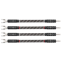 Platinum Eclipse™ 10 Biwire Jumpers