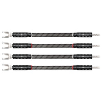 Silver Eclipse™ 10 Biwire Jumpers