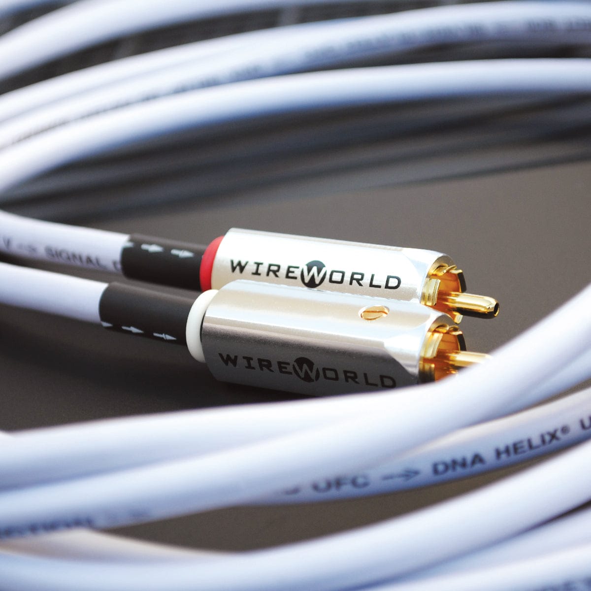 WIREWORLD Solstice7 RCA約100cm ペア WIREWORLD Solstice7 RCA約100cm ペア